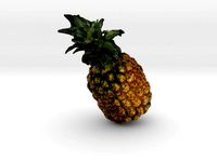 The Pineapple by AmazingDesign