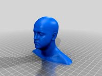 3d Head Scan by MustangDave