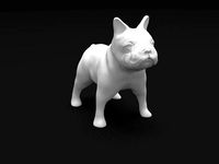 French Bulldog by yuchiayeh