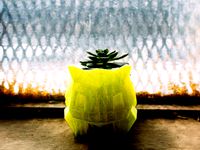 Bulbasaur Planter with Sloped Drainage by lordevoldemort