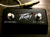 Two Switch Amplifier Footswitch by novakane