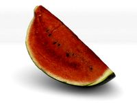 The Watermelon by AmazingDesign