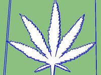 Cannabis Sativa leaf by Mike1701