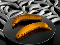 Banana with Scale by MaximSachs