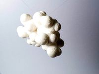 Glucose molecule by piuLAB