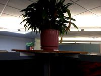 48mm Cubicle Wall corner shelf for potted plant by HunterGreen