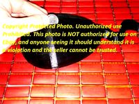 Tadpole (Sperm) Bank by ICEPICKTONY