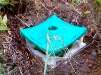Slug and Snail Trap by faggahz