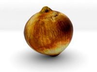 The Onion by AmazingDesign
