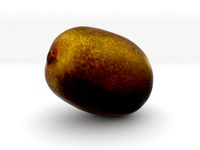 The Kiwifruit by AmazingDesign