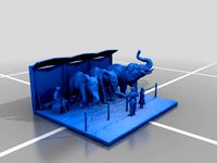 Circus Elephants by ringmaster