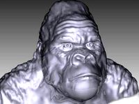 Gorilla Bust by Masterclip