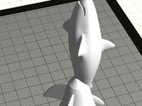 Space Shark by tseip