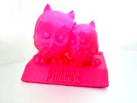 Baby Gift: Cuddling Owls on Name Plate by nicklievendag