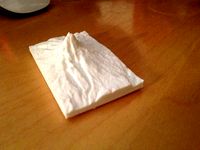 Mount Adams - Washington by tpsully