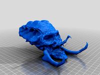 Predator Like Skull (repaired) by funbart
