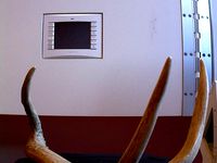 Antler Part Deux by tomburtonwood