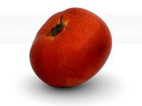 The Tomato by AmazingDesign