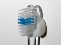 Single Toothbrush Holder by MasterFX