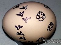 Fox And Chicken Tracks (OLD) by SnoBahr