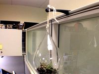 Terrarium Cubicle Hanger by boymeetsmill