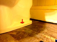 Toilet Bowl Floor Bolt by T311