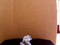 Tiny rabbit by migster