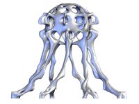 Octo Coral by PscL