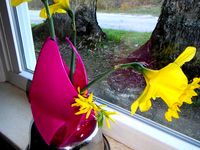 Trideltoid Vase for Mother's Day by longtemps