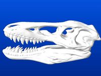 Pinocchio Rex (Qianzhousaurus sinensis) by MakeALot