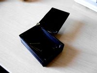 Customizeable case for Electronic PCB's by gigl