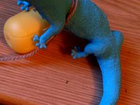 gecko v.2 by schneck007