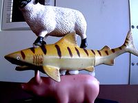 Sheep Shark Pig by tomburtonwood