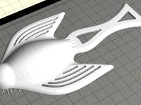 Bird comb by 4BMuhendislik