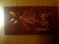 Baby Dimetrodon Skeleton by BigBlock
