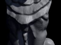 Lion Statue  by 3DPropWorx