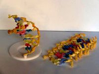 DNA Construction Set by metaform3d