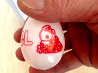 Easter Egg Restarurant Nel Amstelveld, Amsterdam by ponsmeister