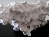 SARS coronavirus papain-like protease by medakachou