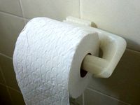 Basic Asymmetrical Toilet Roll Holder by potluck