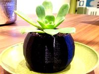 parametric spheroid pot by buckyball