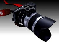Sony NEX SEL18200 Tripod ring mount by pjfian
