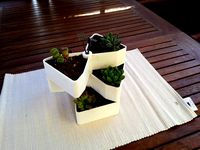 Garden Rotation Pot for small flowers by frankjoke