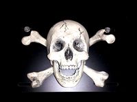 Jolly Roger Wall decoration by cadshark