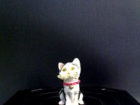 Take it easy Cat by kirbyelise