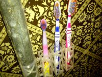 Holder for toothbrushes by Luginets