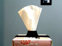 Tissue Holder by Tosh