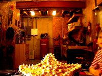 FL Starfish by bergenfelter