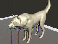 Red Wolf Fixed by baykush