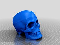 TheSkull by FabLabLance